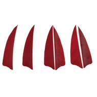 10 Pcs - 3" Archery Turkey Feather Arrow Fletcher - Red Color