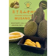 Durian Pahang Highland Old Tree Musang Wang De-husk pack 400g Delivery
