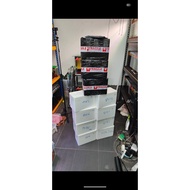 Box Channa Stewarti CB