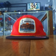 Men's Campervan Trucker Hat