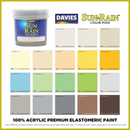 ✆ ♝ ⚽︎ DAVIES Sun & Rain Color Pods Paint (250ml) Seal Gray