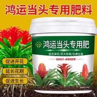 Agricultural Miaofu Fortune Special Fertilizer for Promoting Flowering Period Does Not Hurt Root Biological Organic Fert