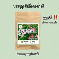 เมล็ดพันธุ์ ชบาฮาวาย 100 เมล็ดคละสี เมล็ดพันธุ์ OP แท้ อัตราการงอกสูง