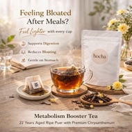Hocha Metabolism Booster | 22 Years Puer + Chrysanthemum | Gut Health, Digestion & Detox | 10 Teabag