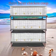 reban ayam-Chicken Farming Cage Egg Collect Sangkar Ayam Besar Kumpul Telur Space Saving Hen Cage 3 