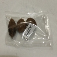 【hot sale】 jujube chinese dates mansanitas fruit tree seeds