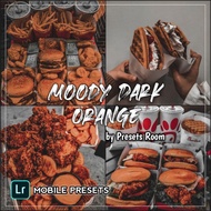 Lightroom Mobile Presets DNG File | Moody dark orange