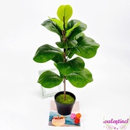 VALENTINE1 Artificial Fiddle Leaves Fig Tree, Large Real Touch Fake Ficus Tree, Green Plant Vibrant 
