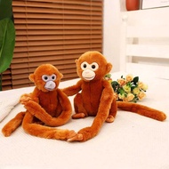 23/28Cm Jungle Gorilla Plush Toy Long Hands Feet Monkey Doll Children's Christmas Gift Doll Ragdoll
