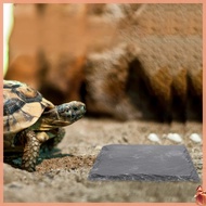 🎃 2pcs Reptile Basking Platform Tortoise Rock Pet Feeding Platform Turtle Bathing Rock