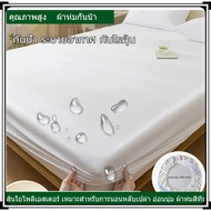 Waterproof Apron Bedding Set Bed Sheet 6 Feet/5 Feet/3.5 Feet/3 Feet Reinforced Fiber Dust Mite Proo