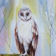 Tyto owl. Bird watercolor painting on paper