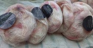義大利 蝴蝶牌 filatura di crosa 毛海 編織 毛線