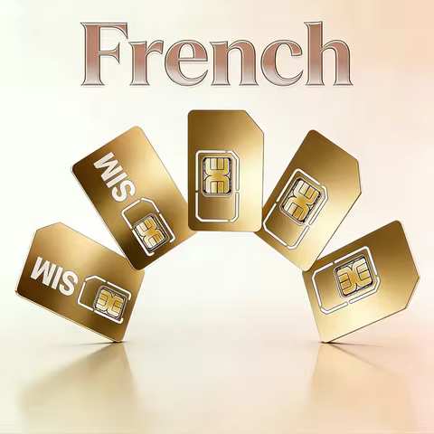 GPS Tracker 4G SIM Card, Pet Positioning Collar, France IoT Device, 500MB European Roaming Data, 365