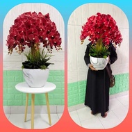 Guard ORKID LATEX 8 Stems