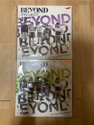 Beyond Project 40 boxset  黑膠