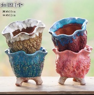 Ready stock ‼️ Ceramic Succulent/flower pot 花盆麦饭大口径陶瓷紫砂简约多肉植物老桩盆绿萝花盆