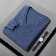Sweater Kasmir Musim Gugur Musim Sejuk Sweater Lelaki Kasual V-leher Mudah Sweater Bulu Lelaki Leher