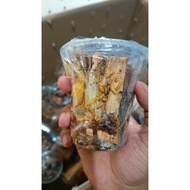 FISHING BAIT TERMITE