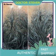 DR.CYJ Hair Filler (Revitalize Scarp, Prevent Hair Loss, Restore Hair Growth) - 1ml