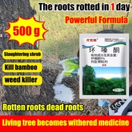 【No matter how big the tree is 1000% rotten roots 】tree killer racun pokok kayu besar Effective weed