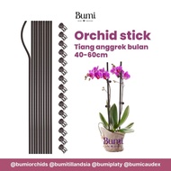 Tangkai Tiang Besi Anggrek Bulan Orchid Stuck Jepitan Klip Jepit Kawat