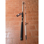 BERKLEY BIG GAME POWER FISHING ROD