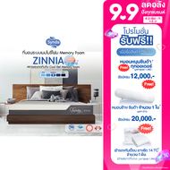 ที่นอน Synda Care รุ่น Zinnia ขนาด 6ฟุต (ระบบเมมโมรี่โฟม Memory Foam  ผสม Cooling Gel)