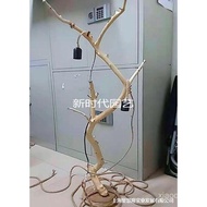 Dried Branches Peeled Tree Branches Flower Arrangement Natural Wood Branches Artistic Dried Branches