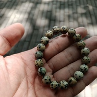 Dalmatian stone jasper beads bracelet