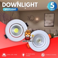5 WATT COB LED DOWNLIGHT DOWNLIGHT SPOTLIGHT/ LED LIGHT/