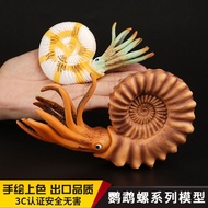 Children Solid Simulation Ancient Animal Toy Model Hanwuji Parrot Snail Ammonite Snake Stone Inverte