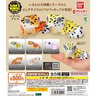 [扭蛋] 動物大圖鑑Sof-Vi系列 豹紋守宮、睫角守宮