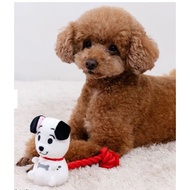 Dog Toys 101 Dalmatian Disney pettoy