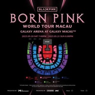 出兩張連坐VVIP A區 BlackPink5.21澳門演唱會門票