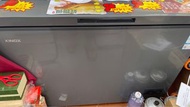 300L臥式雪櫃