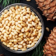 Instant Crispy Dried Pine Nuts - Pine Nuts - Dory-jp