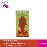 Vermint Kapsul Cacing / Obat Tipes / Vermin