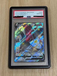 PSA 10 色違噴火龍V