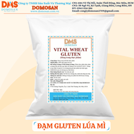 Bột mì căn Gluten Phụ gia tạo dai ổn định cấu trúc- gluten
