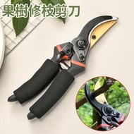 **包郵** 園藝剪刀 果樹修枝剪 樹枝用的剪刀 花藝修枝剪 [平行進口] YY3098