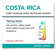 [Pre-Order 5 days] Bluekoff เมล็ดกาแฟ อราบิก้า 100%  Costa Rica Canet Musician Series Beethoven Washed ขนาด 250 กรัม / คั่วตามรอบ