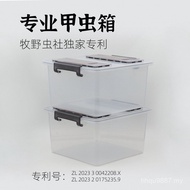 Stag Beetle Reptile Box Breeding Box Pocket Worm Larvae Stag Beetle Insect Beetle Shepherd Wild Worm