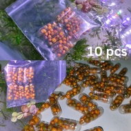 Aquapica Root Tab Fertilizer For Aquatic Plants (10 Capsule)