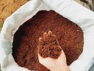 COCOPEAT l 10 kilos  COCOPEAT for Plants l Pampataba ng Halaman l (Pino) High Quality Used Indoor an