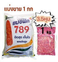 เมล็ดพันธุ์ ข้าวโพดเลี้ยงสัตว์ 789แปซิฟิค  3.5 หุน แบ่งขาย 1 กก