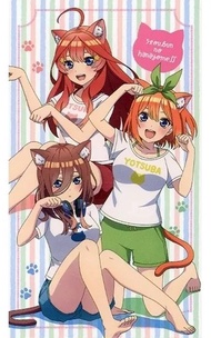 三玖 四葉 五月 五等分的花嫁 掛布 貓耳ver 一番賞