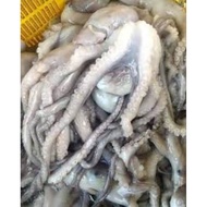 Sotong Kurita Octopus 1kilo Seafood