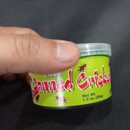 Cengkerik dalam tin Canned Cricket (Klang Valley)