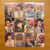 PC JAEMIN NCT DREAM ISTJ MUMO a B JAPAN ISTJ SHOWCASE EVERLINE WITHMU POB MAKESTAR ISTJ INTROVERT PO